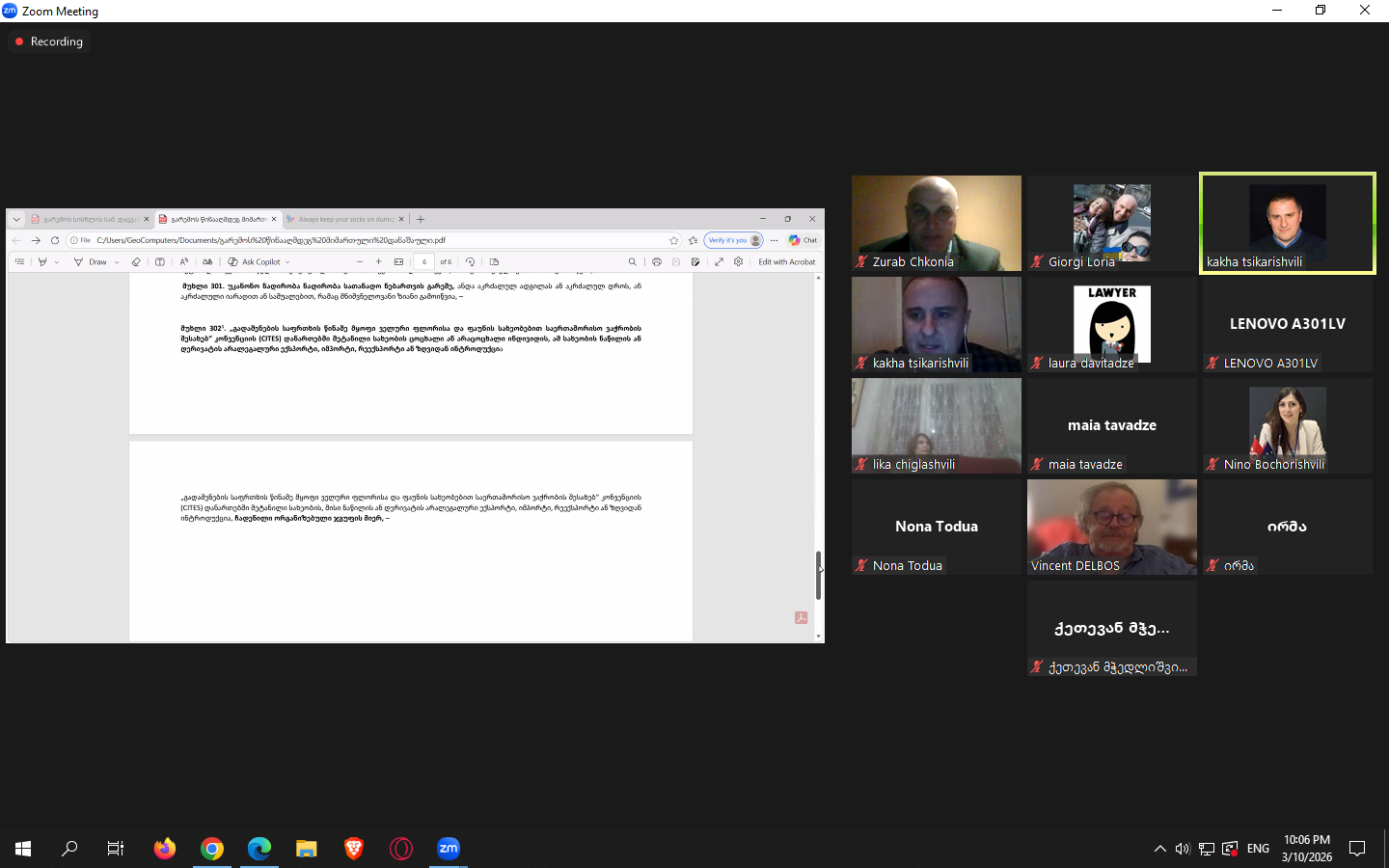 გაიმართა ონლაინ საერთაშორისო სამეცნიერო დისკუსიაზე თემაზე „გარემოს სისხლისსამართლებრივი დაცვა – ევროსაბჭოს 2025 წლის კონვენცია და მისი გამოწვევები“